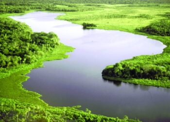 Itacamba realiza campaña medioambiental para proteger el Pantanal