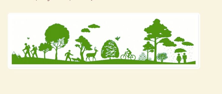 Un nuevo modelo económico para la supervivencia de la humanidad