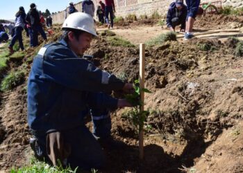 Ferroviaria Andina, en el marco de su responsabilidad social, contribuye con acciones de reforestación en Viacha