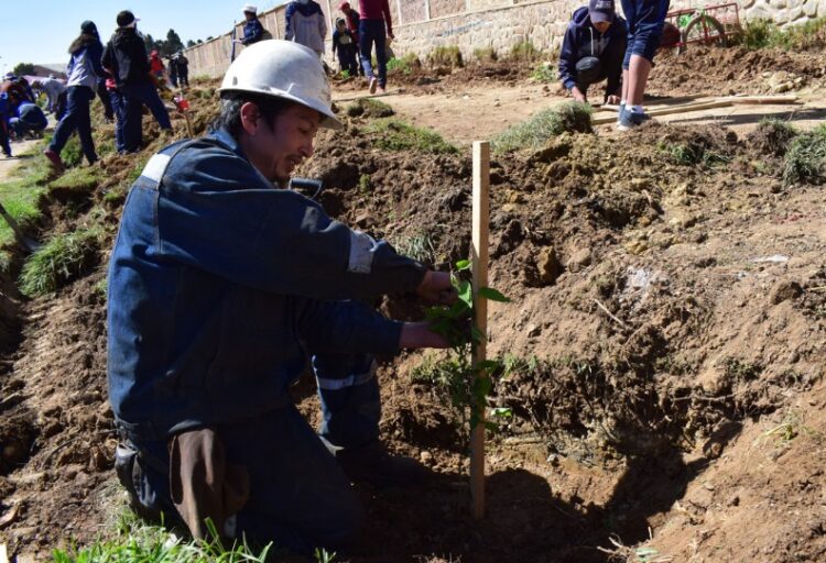 Ferroviaria Andina, en el marco de su responsabilidad social, contribuye con acciones de reforestación en Viacha