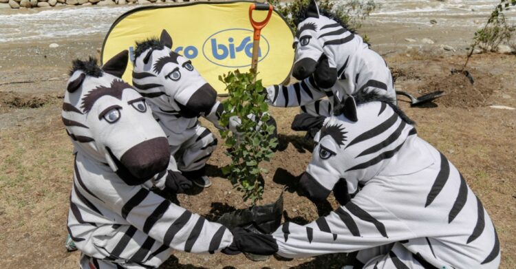 Desde 2016 Banco BISA forestó 2.252 árboles en lugares estratégicos creando 3 pulmones para la ciudad y sus habitantes