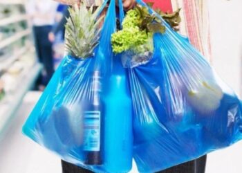 Entró en vigencia en Chile prohibición del uso de bolsas plásticas