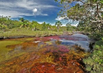 La Paz es la primera ciudad boliviana en unirse al reto “City Nature Challenge”