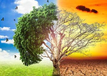 Datos alarmantes sobre el planeta que desafían el modelo económico