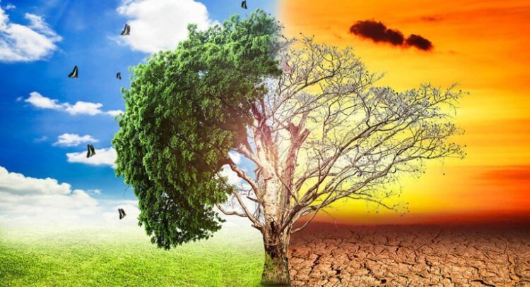 Datos alarmantes sobre el planeta que desafían el modelo económico