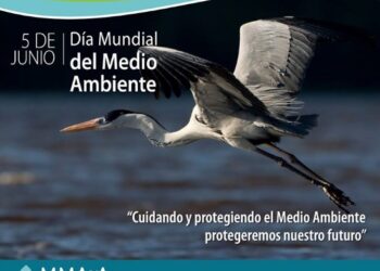 Instituciones de Oruro inician campaña contra el uso de bolsas plásticas