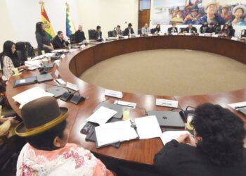 Decálogo del Gabinete Especial de Lucha Contra la Violencia hacia las mujeres y la niñez