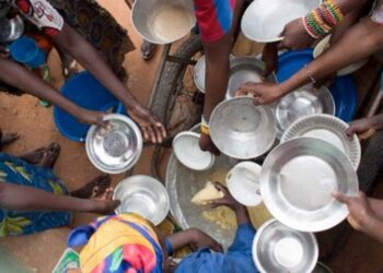 ONU: 820 millones de personas padecen hambre, aunque crece obesidad