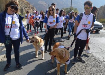 164 niños y niñas con cáncer recibieron tratamiento médico en 2019 con el apoyo de la campaña Caminando por la Vida