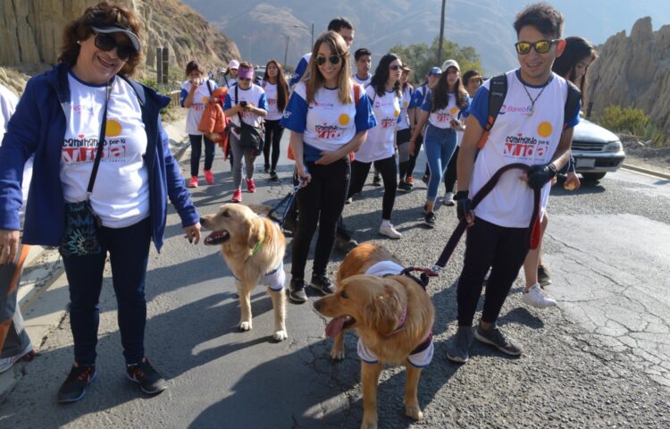 164 niños y niñas con cáncer recibieron tratamiento médico en 2019 con el apoyo de la campaña Caminando por la Vida