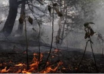 Se monitorean 16 municipios; aún hay focos de calor en 14 municipios