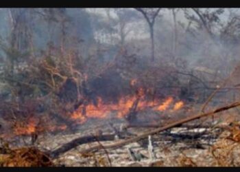 Gobierno declara pausa ecológica en la Chiquitanía y alista plan post incendios