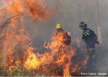 Incendios afectaron 744.711 hectáreas en 35 comunidades de 11 municipios