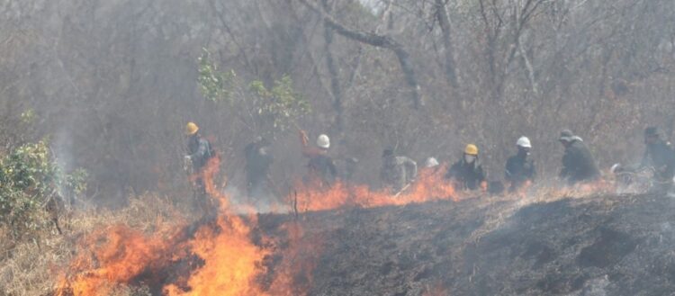 Registran la peor calidad del aire desde inicio de los chaqueos