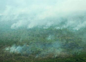 Cejis denuncia ante la CIDH violación de derechos de 7 pueblos indígenas por incendios