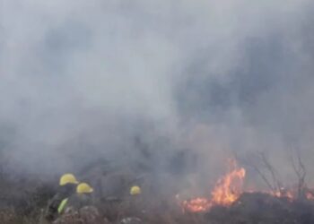 El fuego consume más de 1.000 hectáreas de la serranía de Sama en Tarija