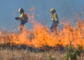 PNUD apoya la respuesta y la recuperación de la Chiquitanía