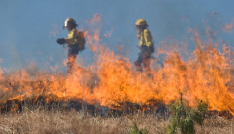 PNUD apoya la respuesta y la recuperación de la Chiquitanía