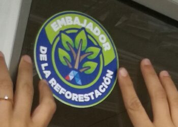 Para generar conciencia Itacamba Cemento, en el mes de Santa Cruz, entregó a sus clientes 500 plantines de tajibo