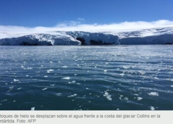 La ONU advierte de la urgencia de salvar los océanos para proteger a la humanidad