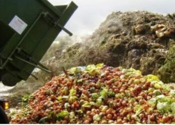 América Latina y el Caribe es responsable del 20% del desperdicio de alimentos a nivel mundial