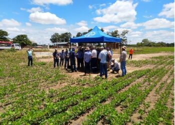 Bayer finaliza año con capacitaciones a agricultores de Santa Cruz 