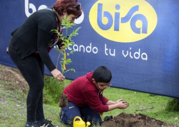 “Pulmón Banco BISA” cierra el año con  la plantación de 1.744 nuevos árboles