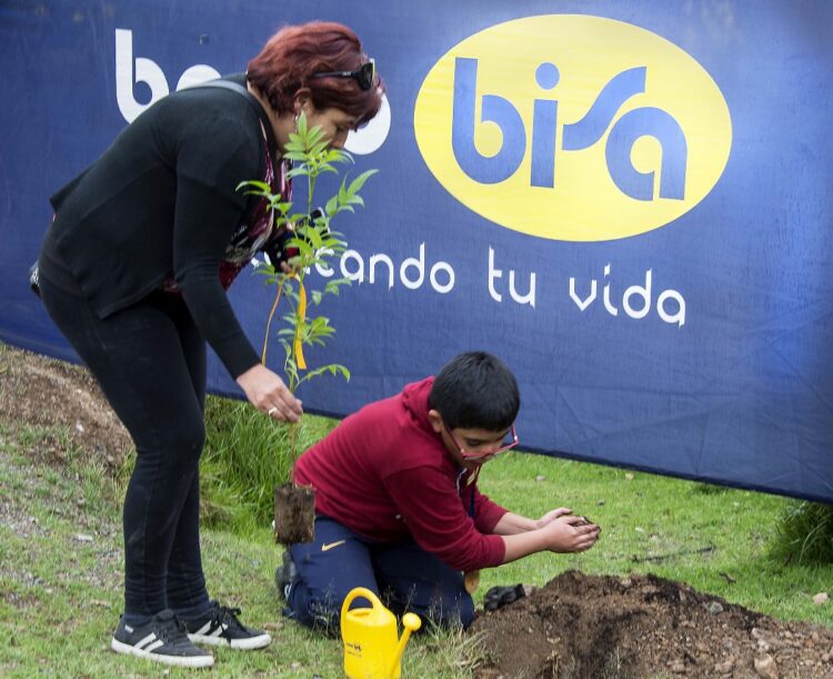 “Pulmón Banco BISA” cierra el año con  la plantación de 1.744 nuevos árboles