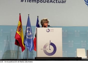 En la COP25 la Ministra de Medio Ambiente, María Elva Pinkert anticipo que piensa reactivar el proyecto de mercado de carbono