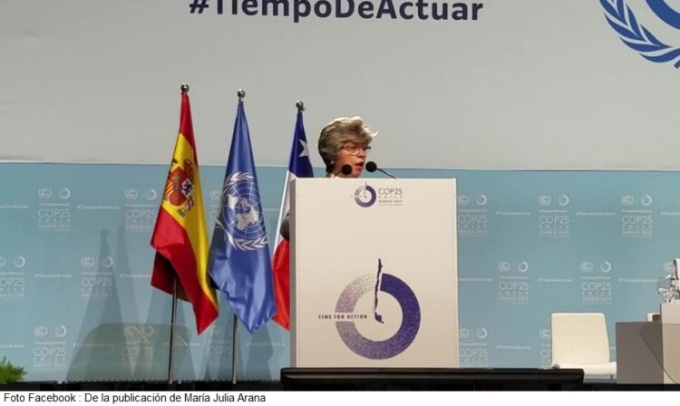 En la COP25 la Ministra de Medio Ambiente, María Elva Pinkert anticipo que piensa reactivar el proyecto de mercado de carbono