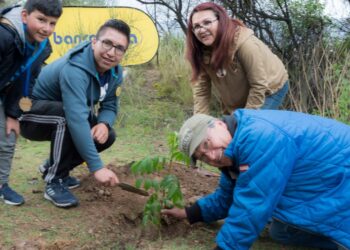 Banco BISA recicló 8,3 ton de papel y cartón el 2019 para cuidar el planeta