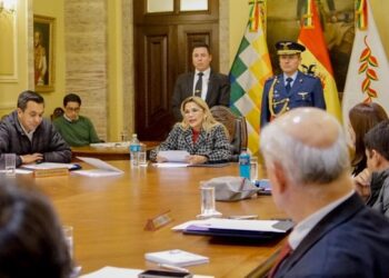 Presidenta Áñez pide fortalecer acciones para enfrentar la violencia hacia mujeres y niños