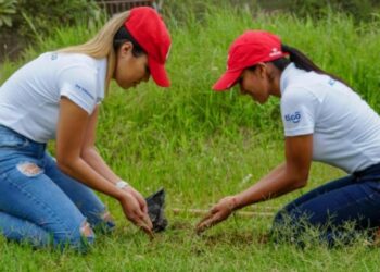 Voluntarios de Tigo plantaron 150 árboles en el barrio Fátima