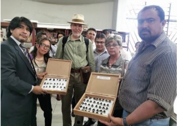 Ministerio de Medio Ambiente presenta la primera colección de abejas polinizadoras de la castaña en Bolivia