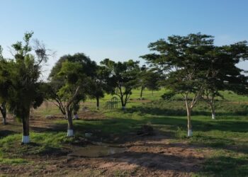 Proyecto inmobiliario Brisas Estrella de Cotoca busca combinar hábitat del ser humano con el medio ambiente