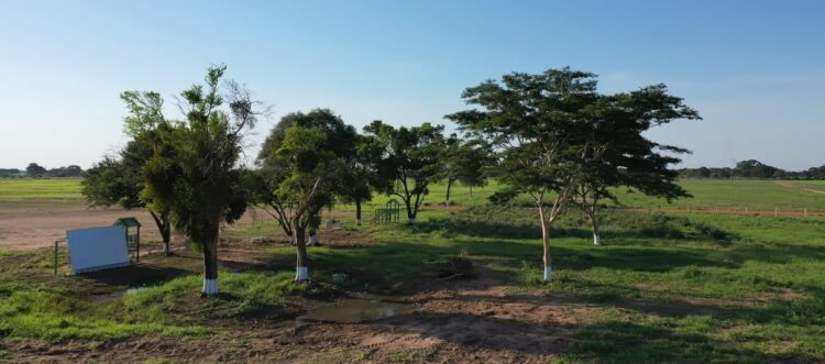Proyecto inmobiliario Brisas Estrella de Cotoca busca combinar hábitat del ser humano con el medio ambiente