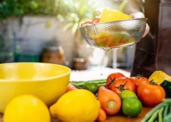 INTI recomienda: Cómo manipular los alimentos para prevenir enfermedades virales 