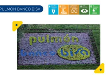 Banco BISA ,en el marco de su programa «Pulmón BISA»plantó 4.000 árboles, en diferentes zonas de la cuidad de La Paz