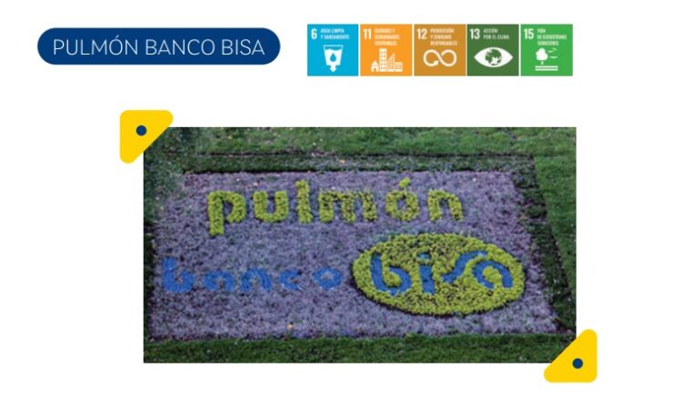 Banco BISA ,en el marco de su programa «Pulmón BISA»plantó 4.000 árboles, en diferentes zonas de la cuidad de La Paz