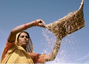 Cinco cosas que debe saber acerca de la sostenibilidad y la inclusión social