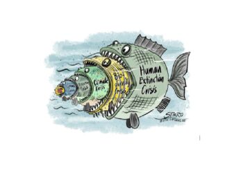 Por Lilian Arzabe*: «De nuestras decisiones financieras que tomemos hoy dependen los resultados de la Agenda 2030 para el Desarrollo Sostenible»