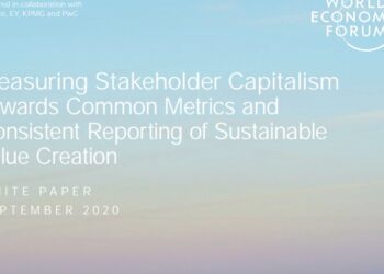 El capitalismo de los grupos de interés ¿En qué consiste y cuán novedosas son las métricas de World Economic Forum para medirlo?