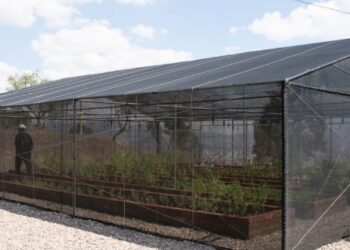 El vivero en Cervecería Taquiña que entregó la CBN  permitirá producir semillas y diversificar la producción agrícola en la zona