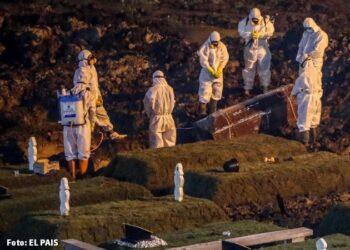 20.5 millones de años de vida perdidos por COVID-19