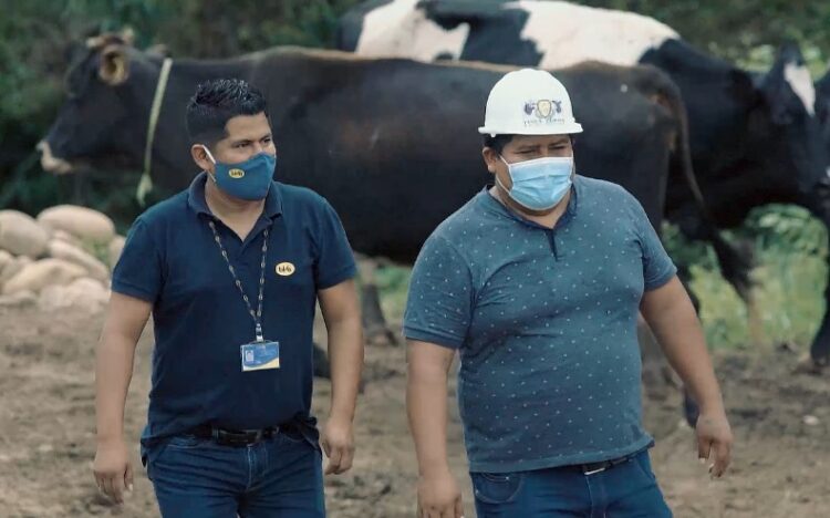 La finca Zurita produce mil litros de leche por día y apoya a queserías de Yapacaní