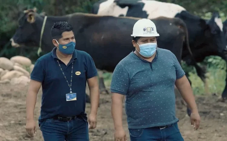 La finca Zurita produce mil litros de leche por día y apoya a queserías de Yapacaní