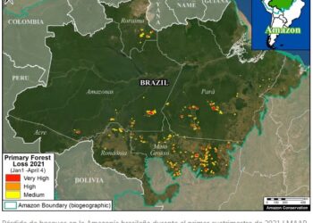 El Amazonas ya no es el pulmón del planeta: lleva una década emitiendo más CO2 del que absorbe