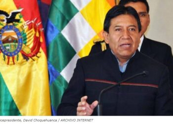 Bolivia pide respaldo a su propuesta para “reorientar” la discusión en la COP26