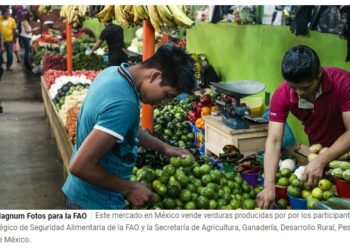 ONU convoca a cumbre urgente sobre sistemas alimentarios