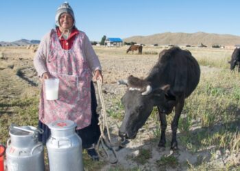 Banco FIE recibe la máxima calificación a nivel mundial por su aporte a la inclusión financiera y social